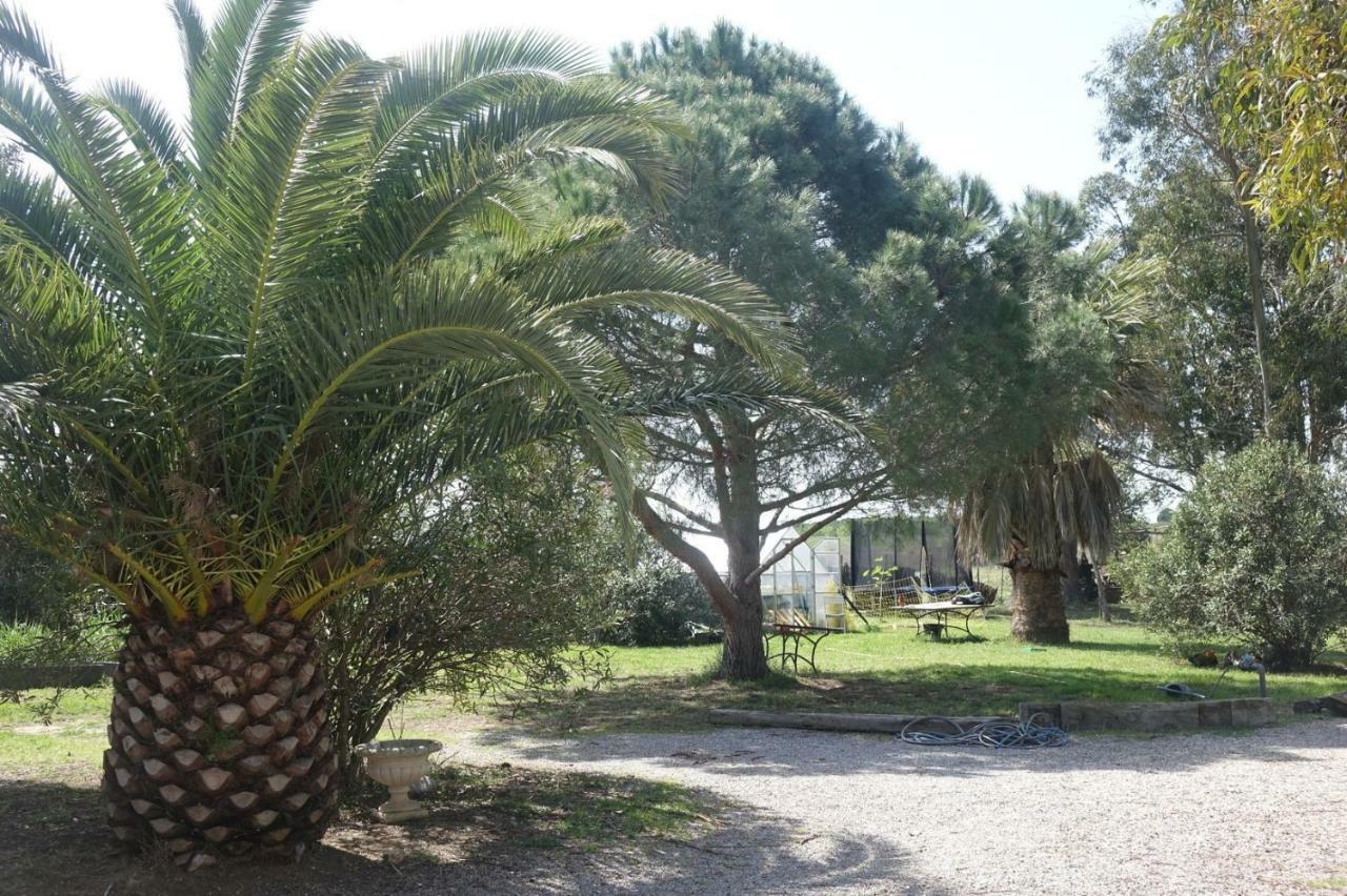Mas Du Roc Villa Saint-Nazaire  Exterior foto